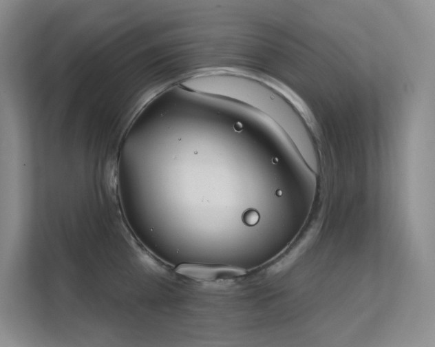 X0000112020809200908101401