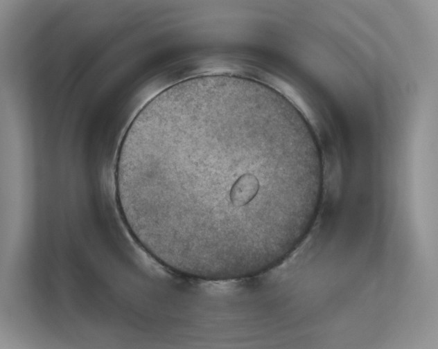 X0000112020810200908101401