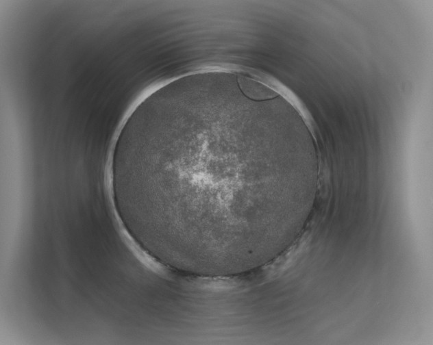 X0000112020811200908101401