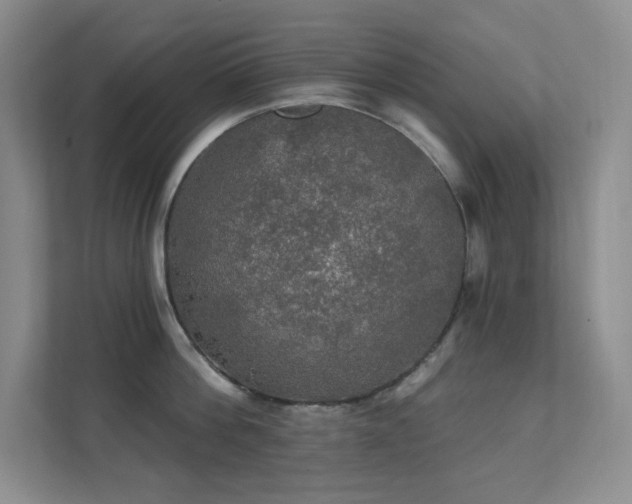 X0000112020812200908101401