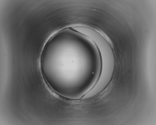 X0000112020813200908101401