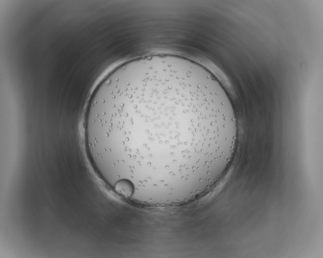 X0000112020814200908101401