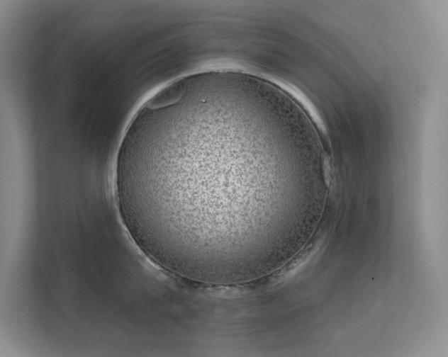 X0000112020815200908101401