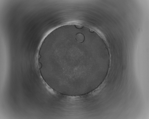 X0000112020816200908101401