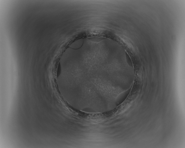 X0000112020817200908101400