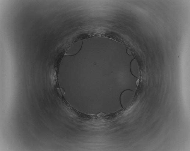 X0000112020818200908101400