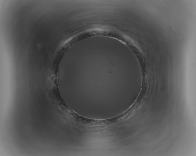 X0000112020822200908101400