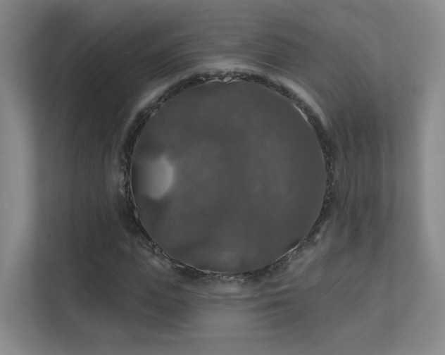 X0000112020823200908101400