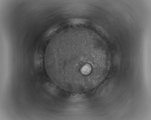 X0000112020824200908101400