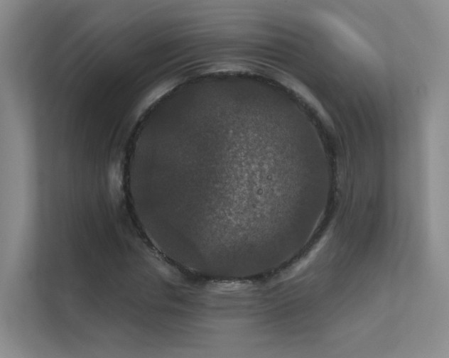 X0000112020826200908101400