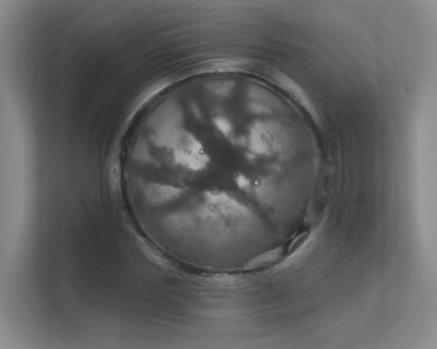 X0000112020827200908101400