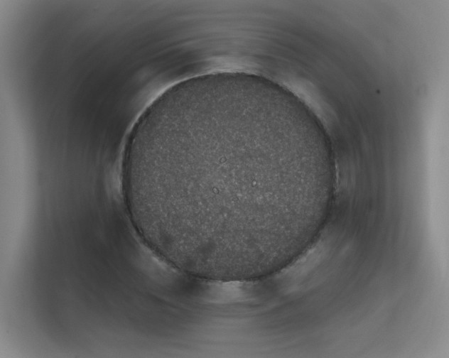 X0000112020828200908101400