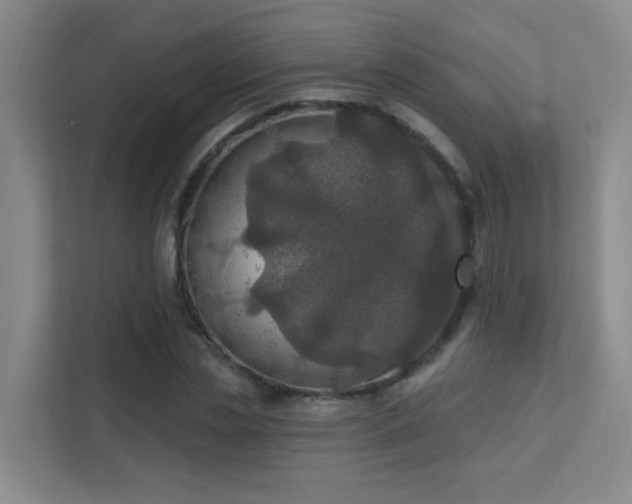 X0000112020829200908101400