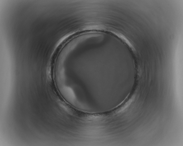 X0000112020830200908101400