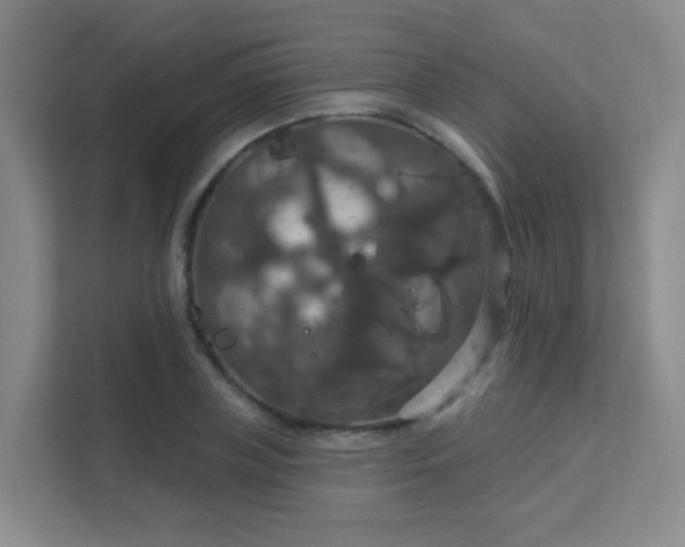 X0000112020835200908101400