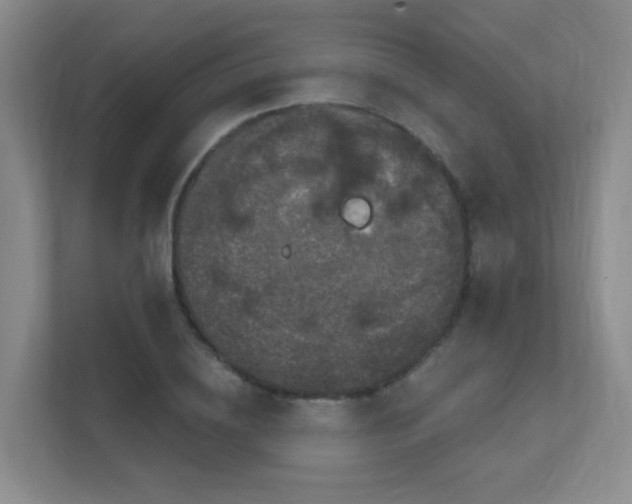 X0000112020836200908101400