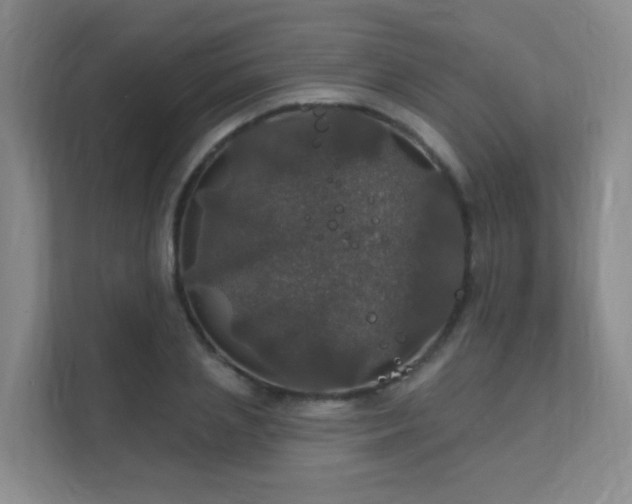 X0000112020837200908101400