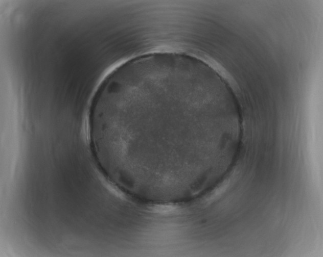 X0000112020838200908101400