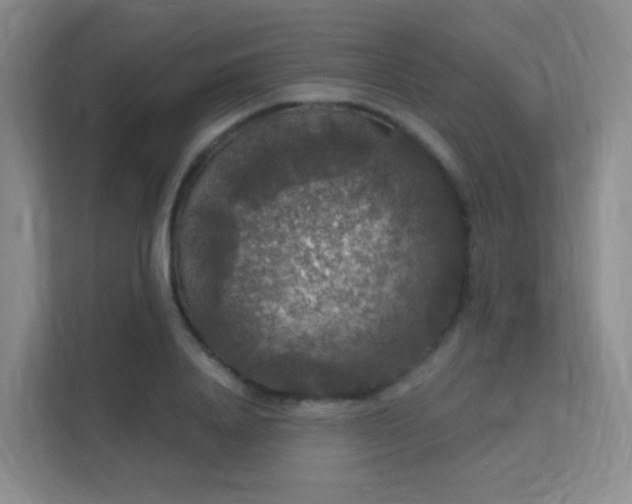 X0000112020840200908101400