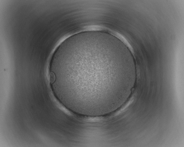 X0000112020843200908101400