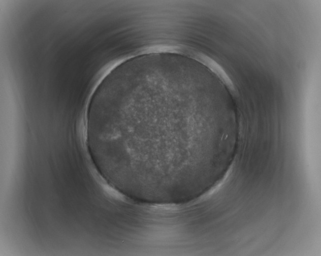 X0000112020844200908101400