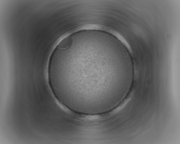 X0000112020845200908101400