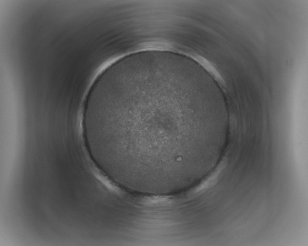 X0000112020846200908101400