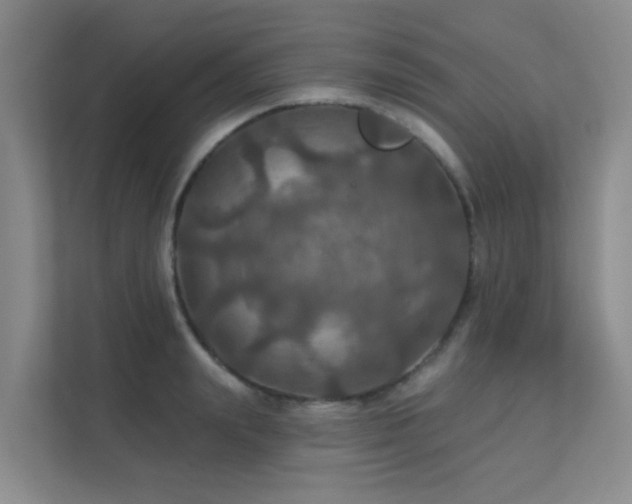 X0000112020847200908101400