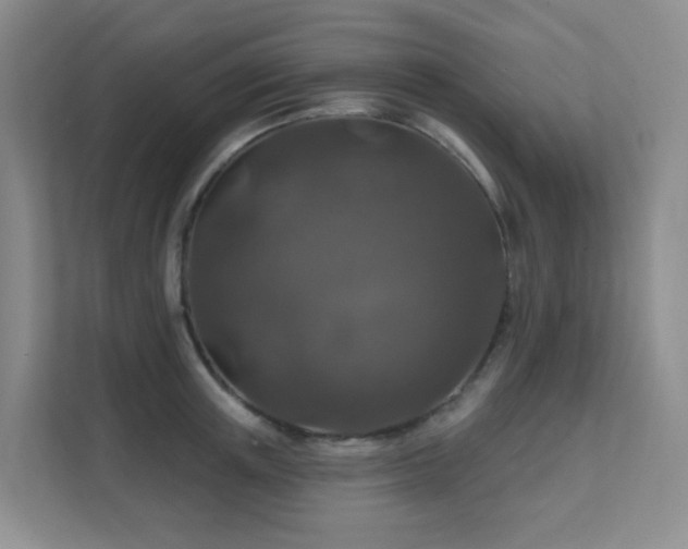 X0000112020851200908101400