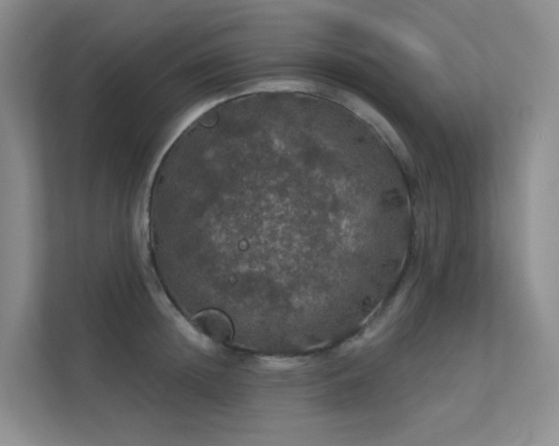 X0000112020852200908101400