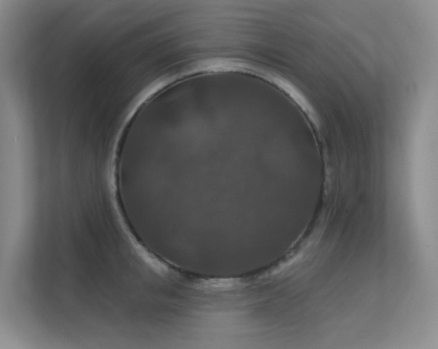 X0000112020853200908101400