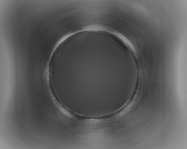 X0000112020854200908101400