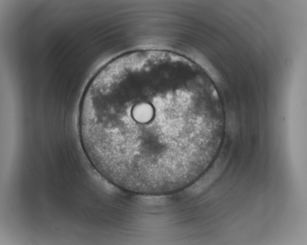 X0000112020856200908101400