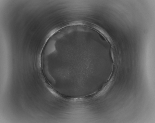 X0000112020858200908101400