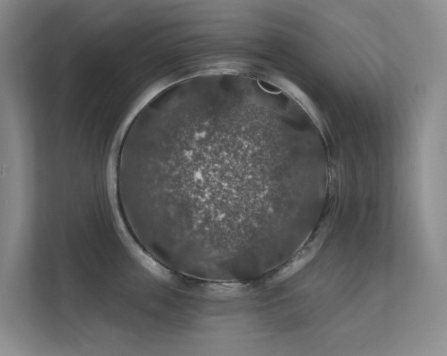 X0000112020859200908101400