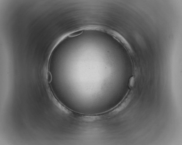 X0000112020860200908101400