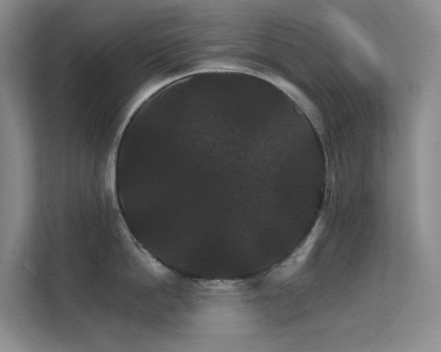 X0000112020862200908101401