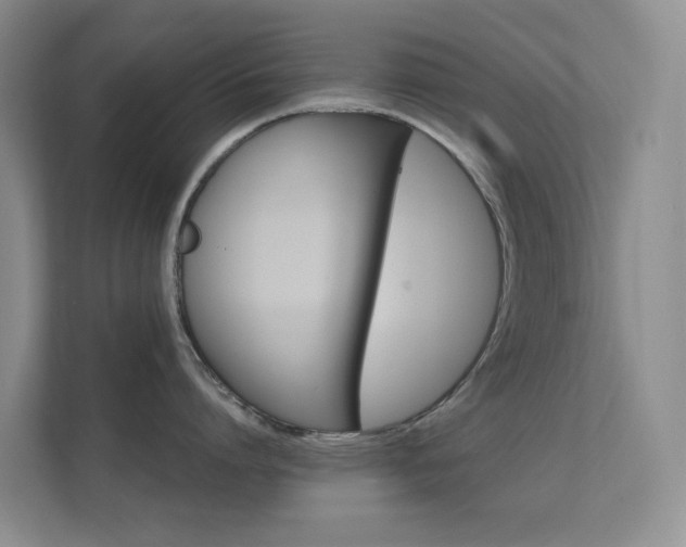 X0000112020864200908101401