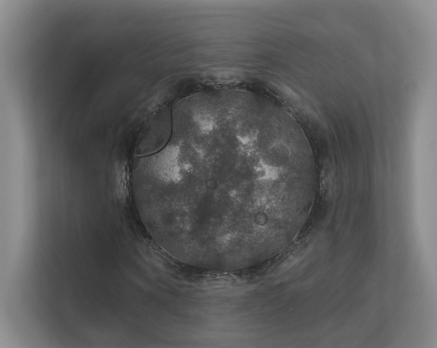 X0000112020866200908101400