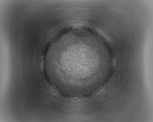 X0000112020868200908101400