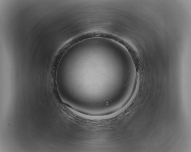 X0000112020872200908101400