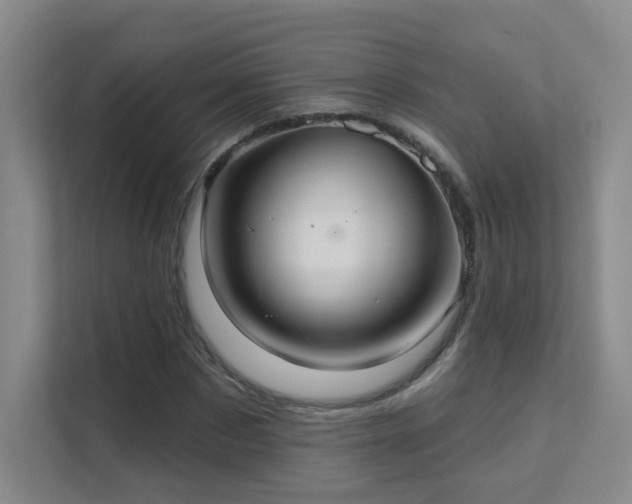 X0000112020873200908101400