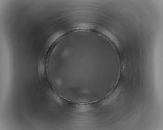 X0000112020874200908101400