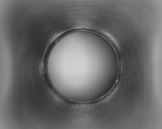 X0000112020876200908101400