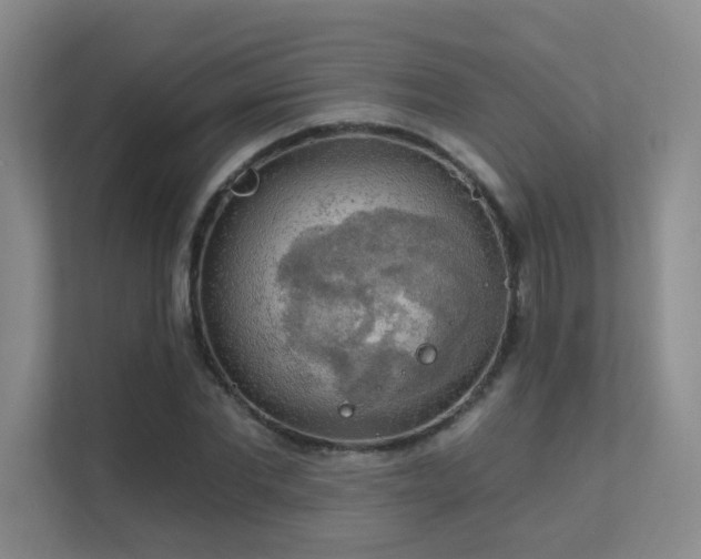 X0000112020877200908101400