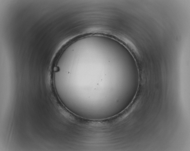 X0000112020880200908101400