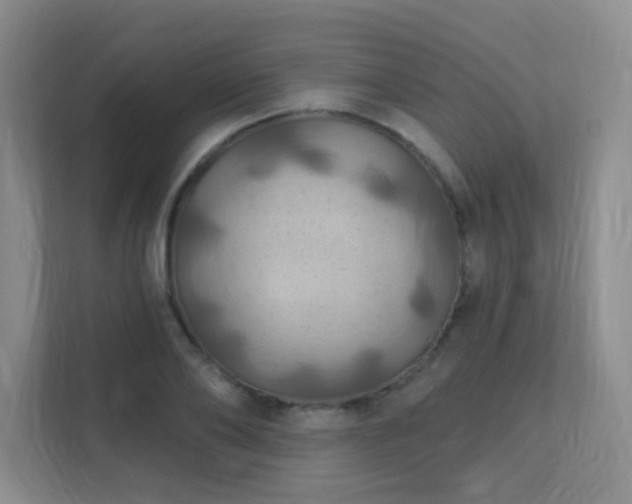 X0000112020886200908101400