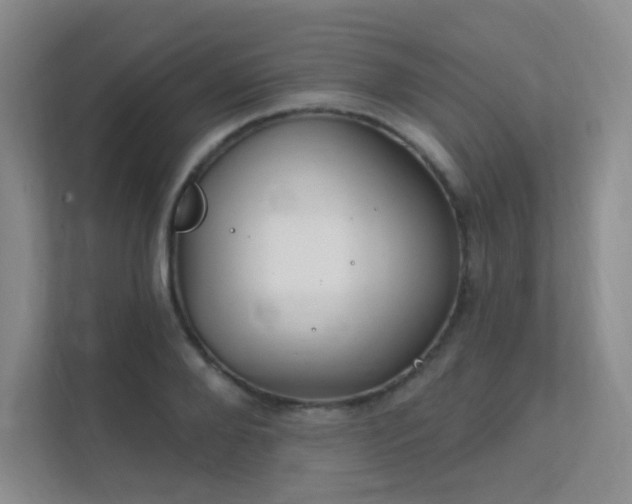 X0000112020888200908101400