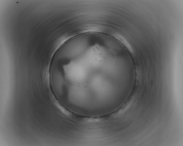 X0000112020890200908101400