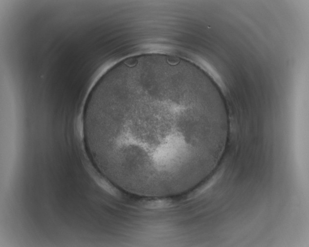 X0000112020891200908101400